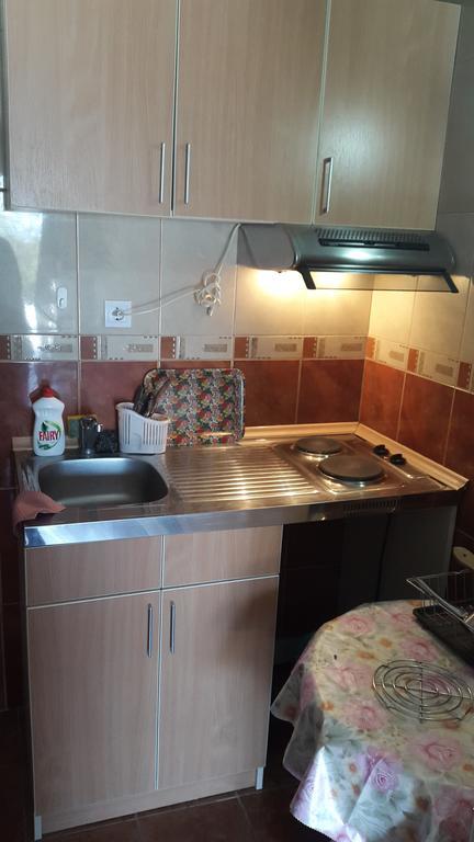 Vuko I Magdalena Midzor Διαμέρισμα Petrovac Δωμάτιο φωτογραφία
